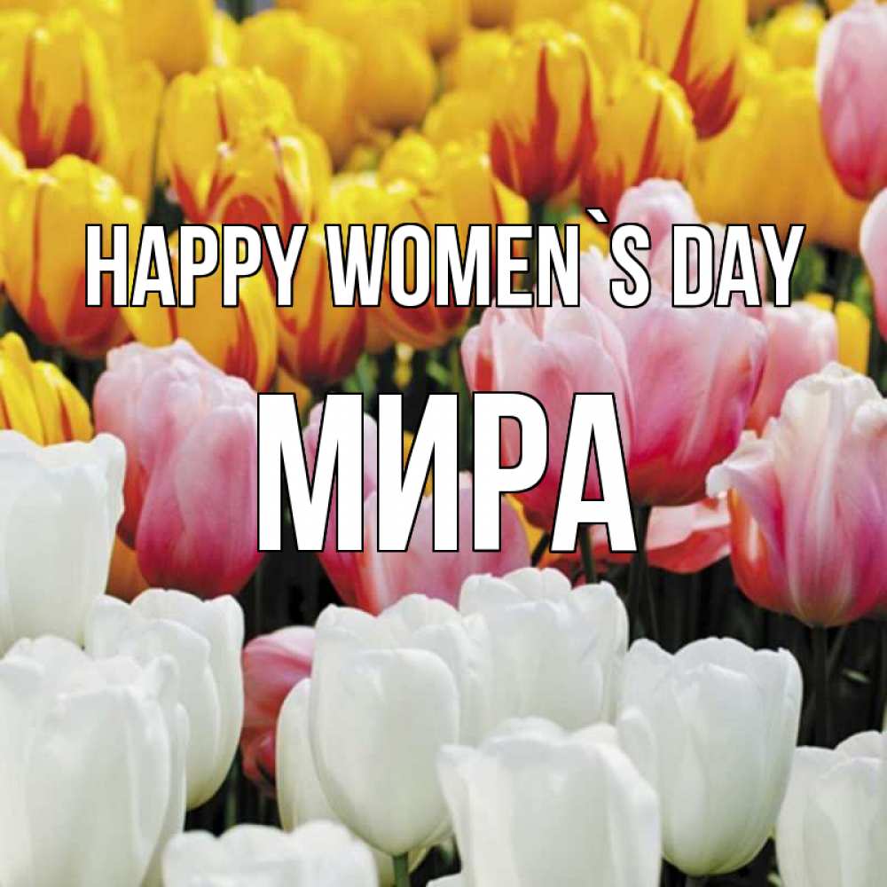 Greetings card с именем, МИРА happy women`s day разноцветные цветы Greetings with text for free download 